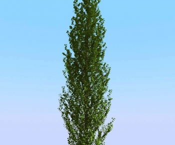 Modern Tree-ID:593192103