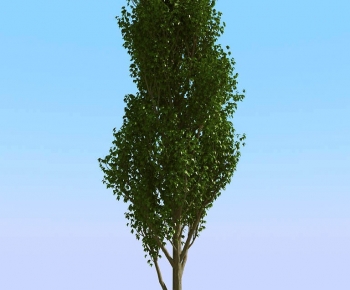 Modern Tree-ID:750685932