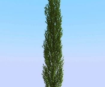 Modern Tree-ID:944633967