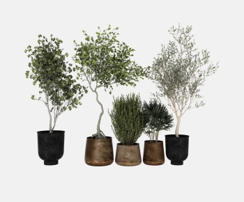 Wabi-sabi Style Ground Green Plant Potted Plants-ID:818778041