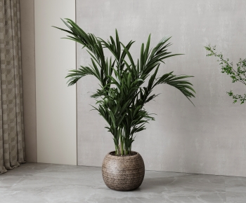 Modern Ground Green Plant Potted Plants-ID:933288108