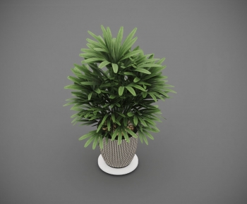Modern Ground Green Plant Potted Plants-ID:404587037
