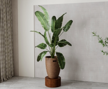 Modern Ground Green Plant Potted Plants-ID:836410059