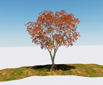 Modern Tree-ID:844916112