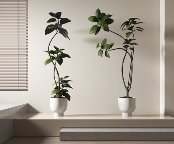 Modern Ground Green Plant Potted Plants-ID:182513005