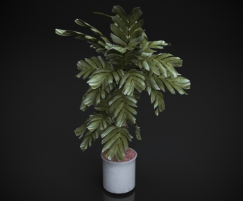 Modern Ground Green Plant Potted Plants-ID:205218085