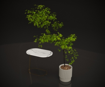 Modern Ground Green Plant Potted Plants-ID:259044894