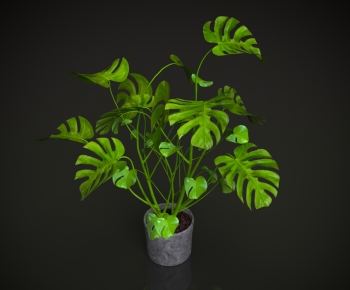 Modern Ground Green Plant Potted Plants-ID:731481081
