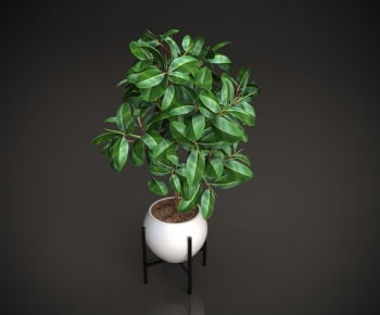 Modern Ground Green Plant Potted Plants-ID:956372981