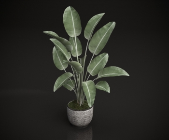 Modern Ground Green Plant Potted Plants-ID:129661083