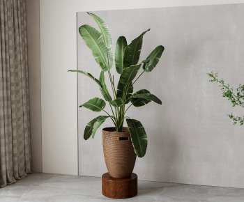 Modern Ground Green Plant Potted Plants-ID:231507067