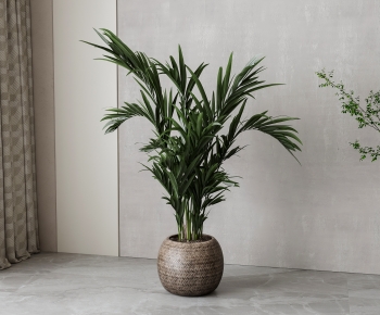 Wabi-sabi Style Ground Green Plant Potted Plants-ID:260989763