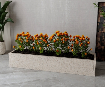 Modern Flower Bed, Flower Bowl, Flower Box-ID:363219027