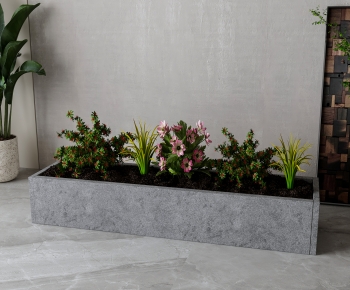 Modern Flower Bed, Flower Bowl, Flower Box-ID:689763075