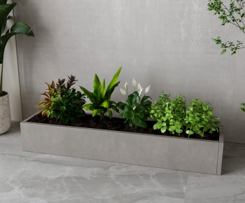 Modern Flower Bed, Flower Bowl, Flower Box-ID:656274089