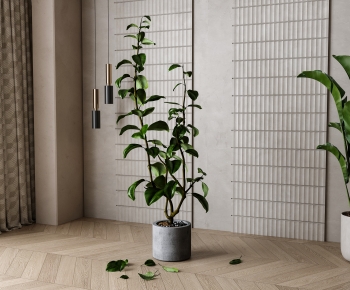 Modern Ground Green Plant Potted Plants-ID:283210354