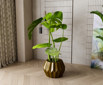 Modern Ground Green Plant Potted Plants-ID:747126106