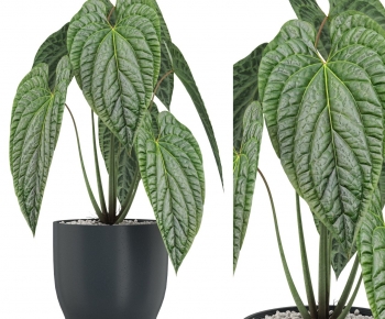 Modern Ground Green Plant Potted Plants-ID:553899054