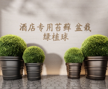 Modern Ground Green Plant Potted Plants-ID:701971053
