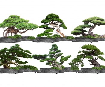 新中式景观树造型罗汉松-ID:673276909