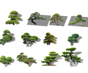 New Chinese Style Tree-ID:896053088