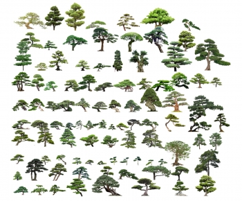 新中式景观树造型罗汉松-ID:587492941