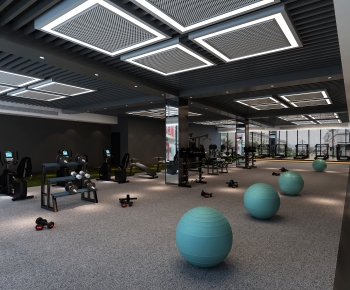 Modern Gym-ID:260977035