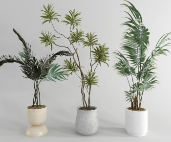 Modern Potted Green Plant-ID:135935071