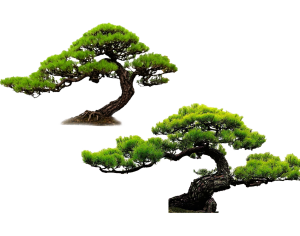 Chinese StyleTree