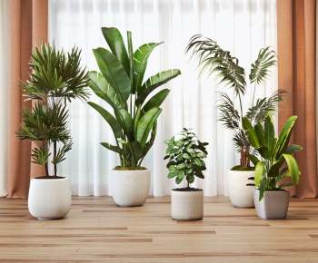 Modern Ground Green Plant Potted Plants-ID:950963979