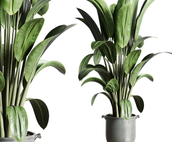 Modern Ground Green Plant Potted Plants-ID:257344961