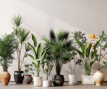 Modern Ground Green Plant Potted Plants-ID:346888074
