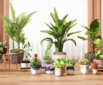 Modern Ground Green Plant Potted Plants-ID:586309446