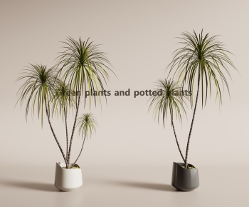 Modern Ground Green Plant Potted Plants-ID:541394002