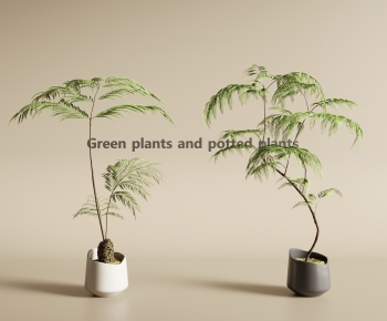 Modern Ground Green Plant Potted Plants-ID:293365964