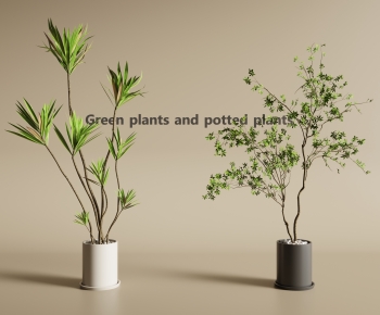 Modern Ground Green Plant Potted Plants-ID:152566915