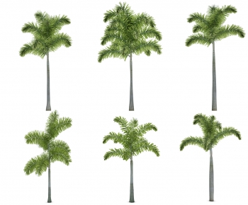 Modern Tree-ID:283238898