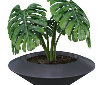 Modern Potted Green Plant-ID:875170293