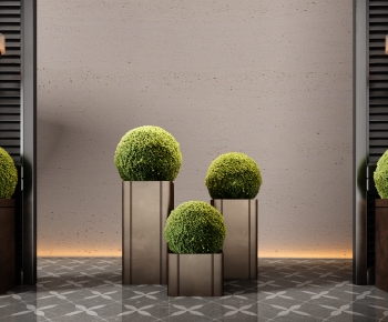 Modern Ground Green Plant Potted Plants-ID:785209899