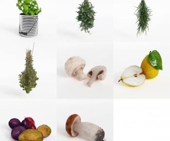 Modern Vegetables-ID:836797959