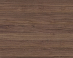 ModernWood Texture