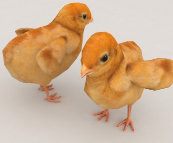 Modern Poultry Animal-ID:516010052