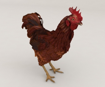 Modern Poultry Animal-ID:469371082