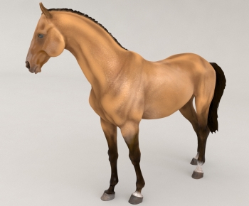 Modern Animal Horse-ID:594753982