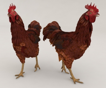 Modern Poultry Animal-ID:219276917