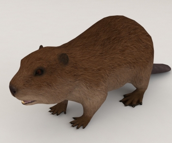 Modern Mammal-ID:480978976