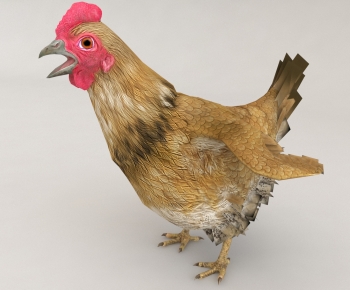 Modern Poultry Animal-ID:963922028