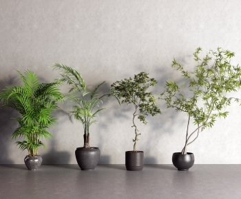 Modern Ground Green Plant Potted Plants-ID:265785937