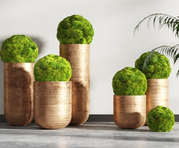 Modern Ground Green Plant Potted Plants-ID:773921015