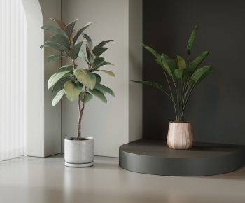 Modern Ground Green Plant Potted Plants-ID:624061113